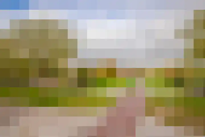 Mozartstraat 131 Elst thumbnail 6