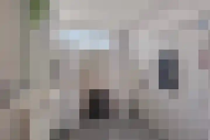 Mozartstraat 15 Numansdorp thumbnail 19