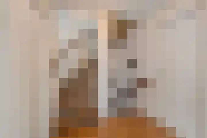 Mozartstraat 15 Numansdorp thumbnail 21
