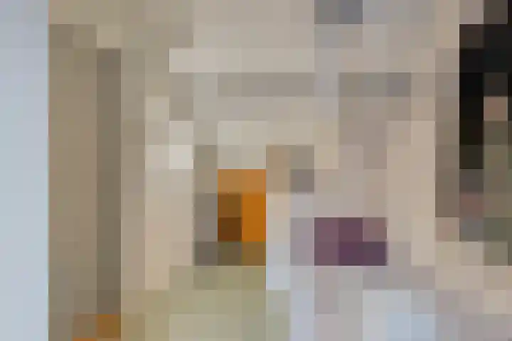 Mozartstraat 15 Numansdorp thumbnail 22