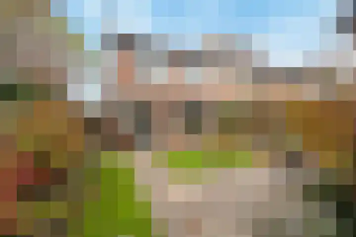 Mozartstraat 15 Numansdorp thumbnail 29