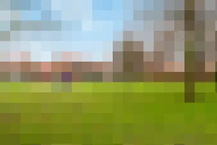 Mozartstraat 15 Numansdorp thumbnail 34