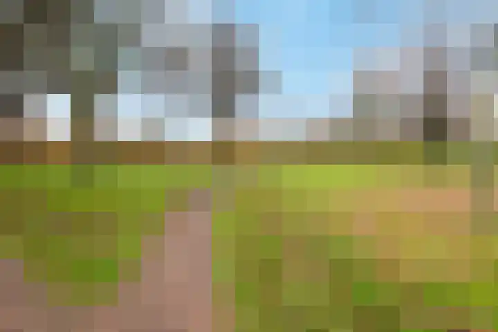 Mozartstraat 15 Numansdorp thumbnail 35