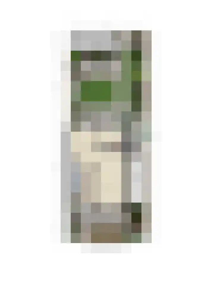 Mozartstraat 15 Numansdorp thumbnail 39