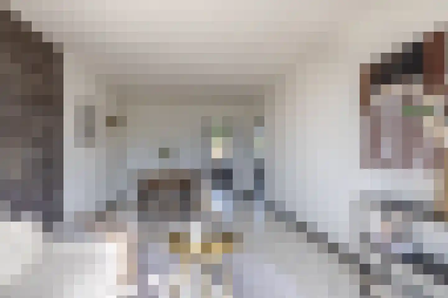 Mozartstraat 15 Ridderkerk thumbnail 8