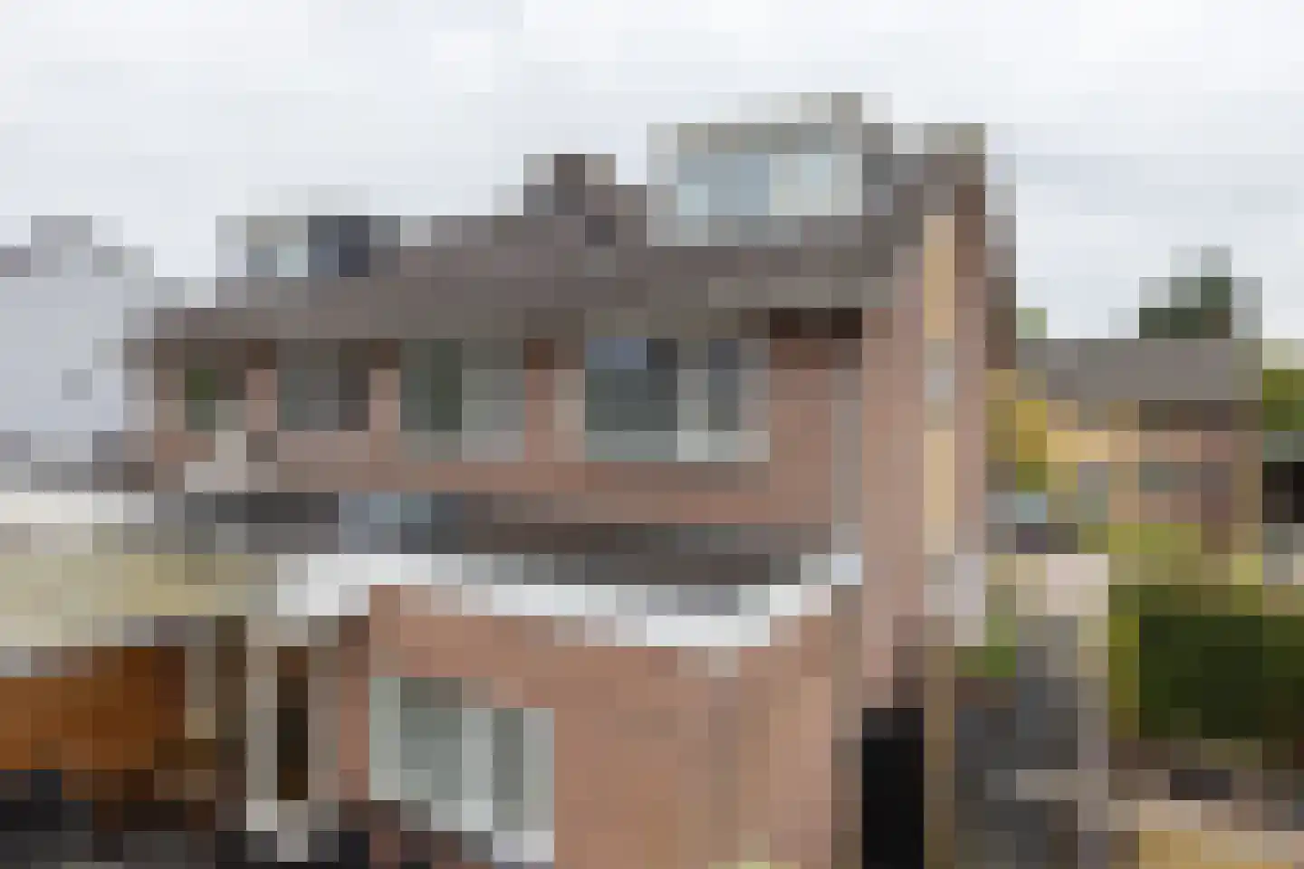 Mozartstraat 17 Groenlo thumbnail 32