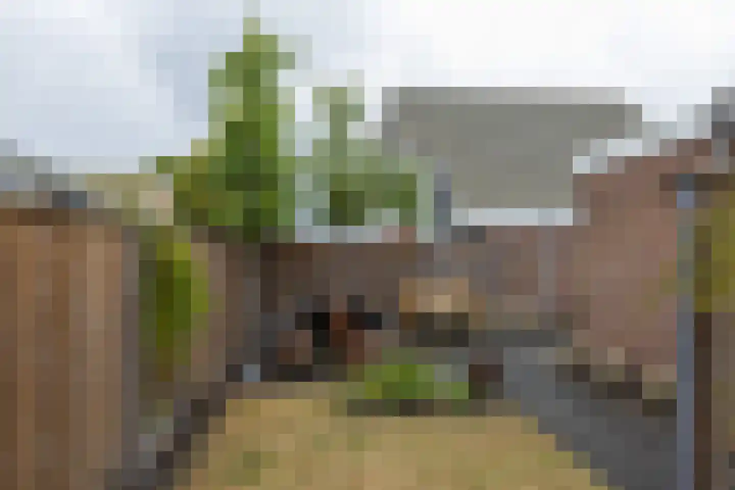 Mozartstraat 17 Groenlo thumbnail 37