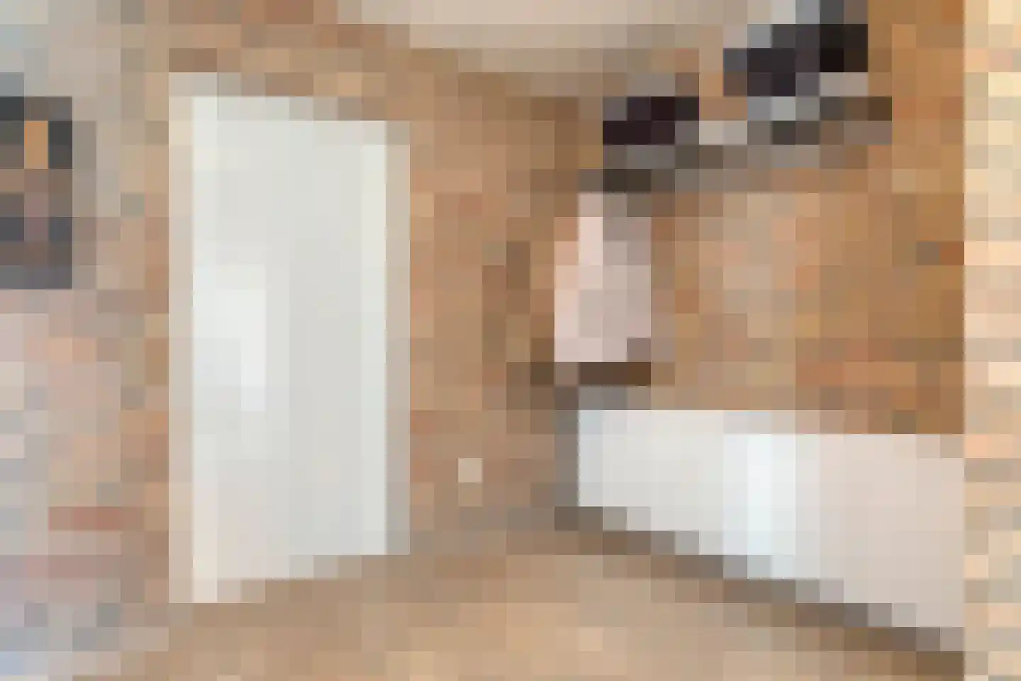 Mozartstraat 18 Losser thumbnail 13