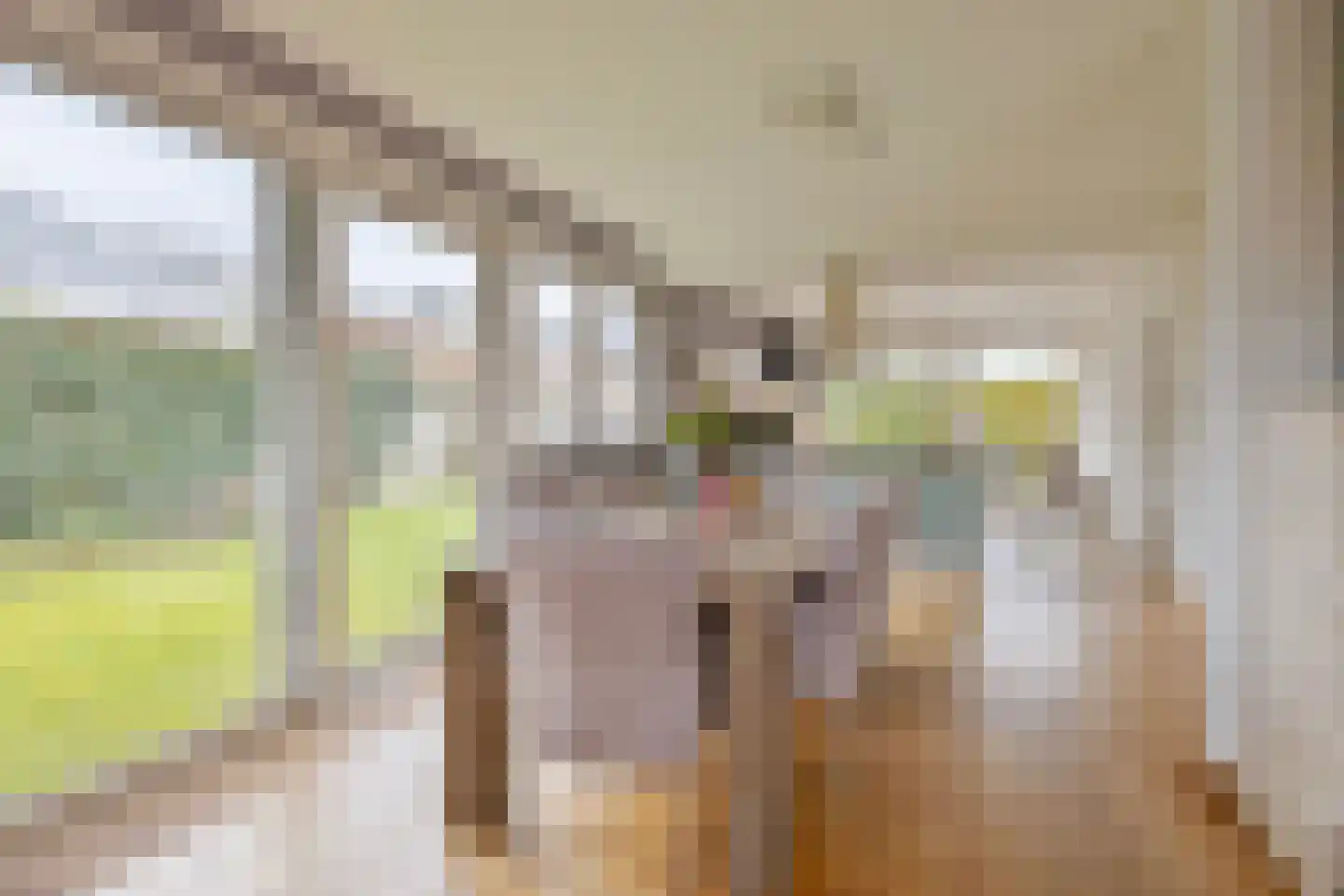 Mozartstraat 18 Losser thumbnail 15