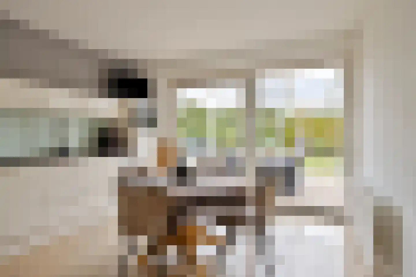Mozartstraat 18 Losser thumbnail 18