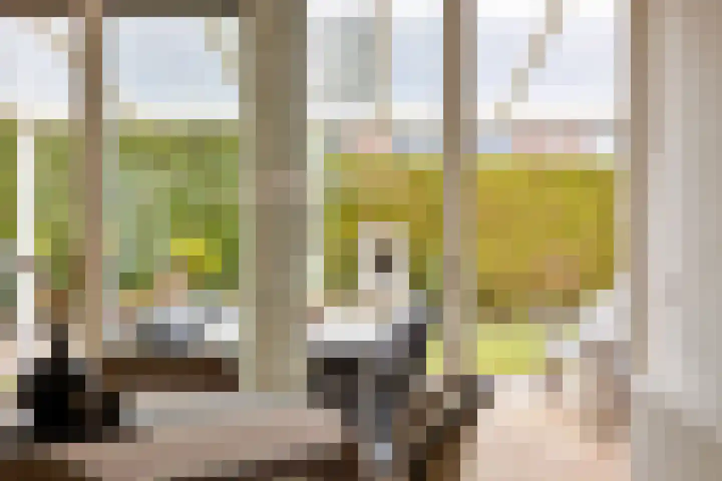 Mozartstraat 18 Losser thumbnail 23