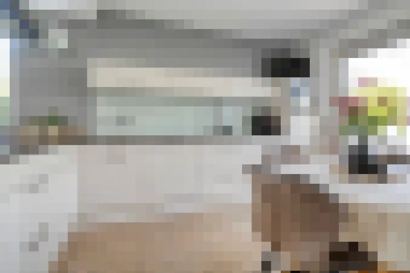Mozartstraat 18 Losser thumbnail 25