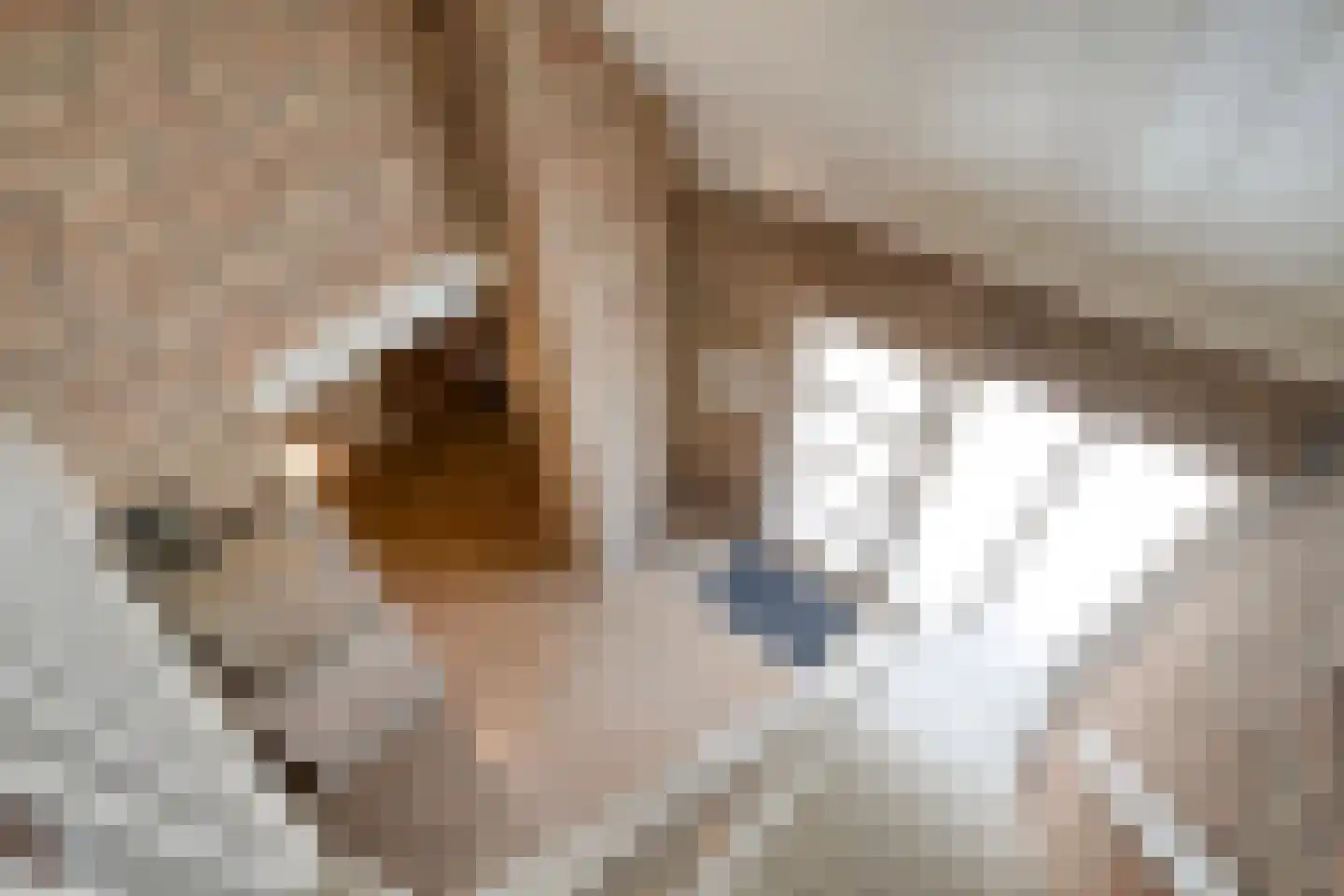 Mozartstraat 18 Losser thumbnail 31