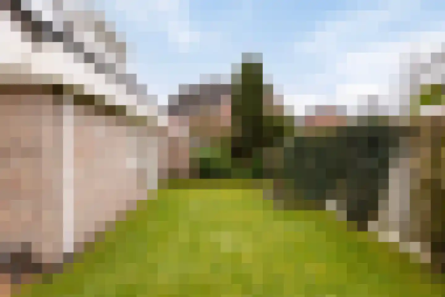 Mozartstraat 18 Losser thumbnail 39