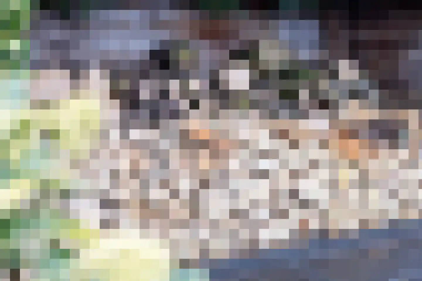 Mozartstraat 18 Losser thumbnail 45