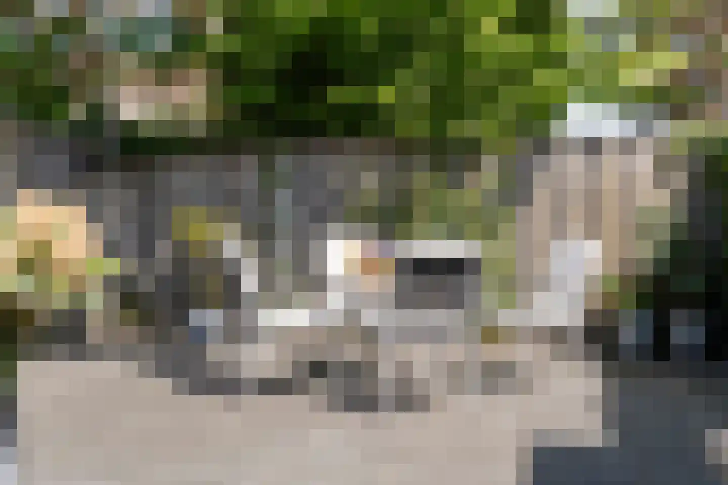 Mozartstraat 18 Losser thumbnail 56