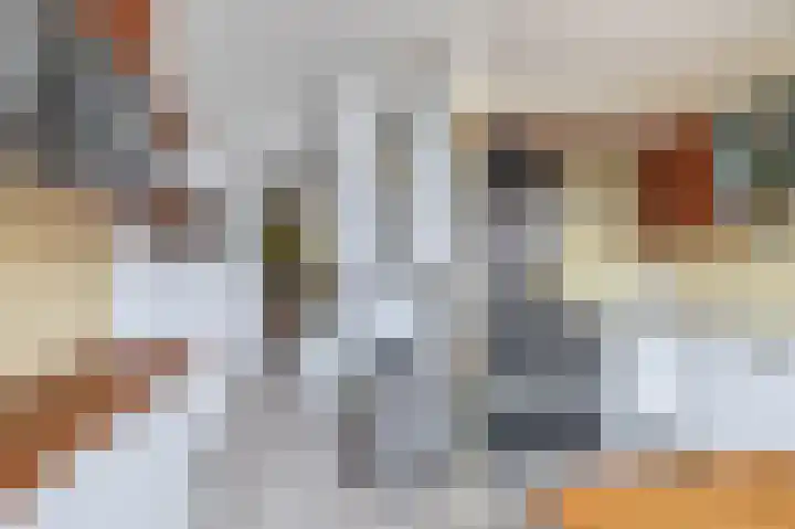 Mozartstraat 2 Capelle aan den IJssel thumbnail 19