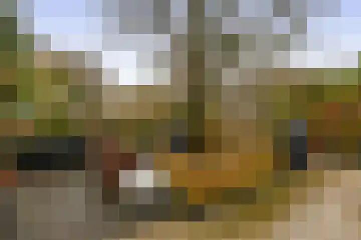 Mozartstraat 2 Capelle aan den IJssel thumbnail 21