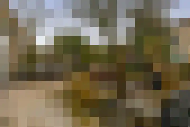 Mozartstraat 2 Capelle aan den IJssel thumbnail 23