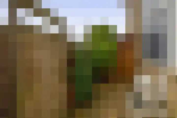 Mozartstraat 2 Capelle aan den IJssel thumbnail 24