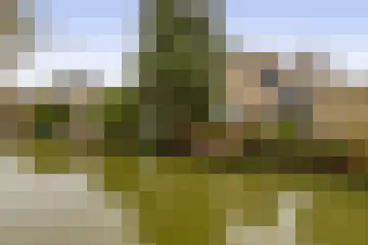 Mozartstraat 2 Capelle aan den IJssel thumbnail 25