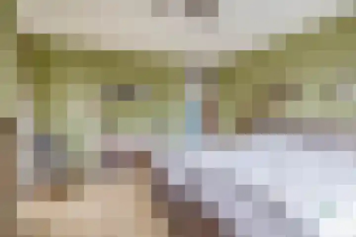 Mozartstraat 2 Capelle aan den IJssel thumbnail 30