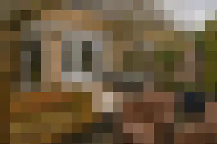 Mozartstraat 2 Capelle aan den IJssel thumbnail 4