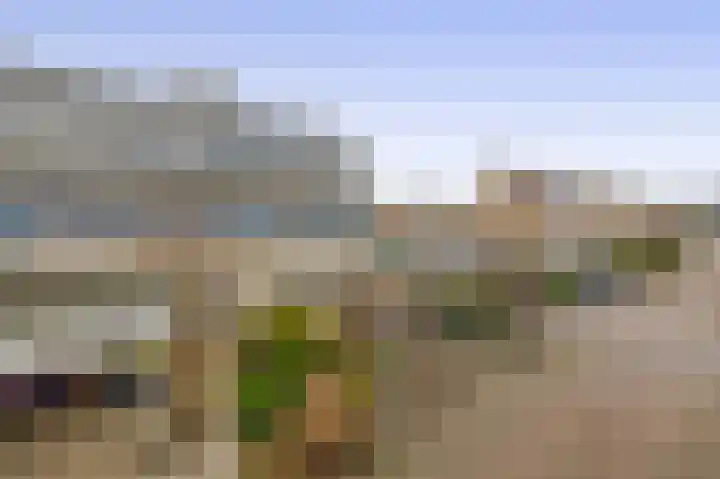 Mozartstraat 2 Capelle aan den IJssel thumbnail 47