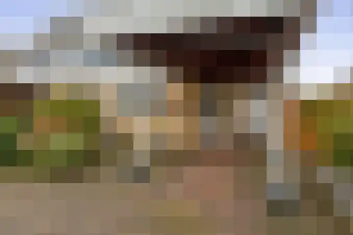 Mozartstraat 2 Capelle aan den IJssel thumbnail 5