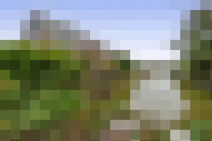 Mozartstraat 2 Capelle aan den IJssel thumbnail 52