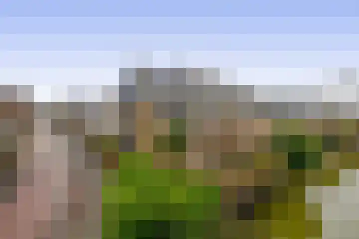 Mozartstraat 2 Capelle aan den IJssel thumbnail 53