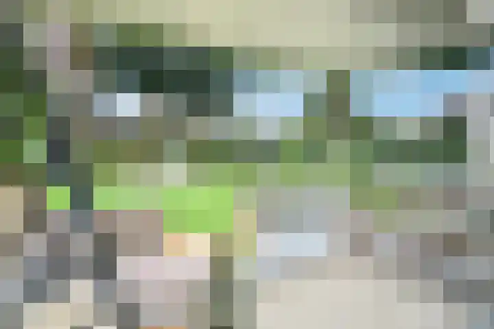 Mozartstraat 20 Molenhoek thumbnail 12