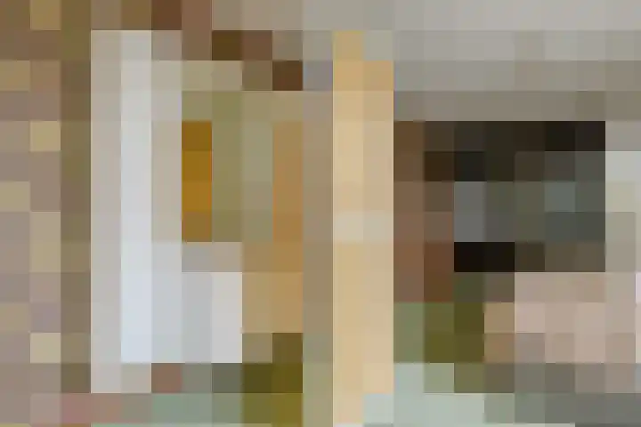 Mozartstraat 20 Molenhoek thumbnail 27