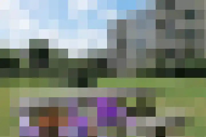 Mozartstraat 213 Leiden