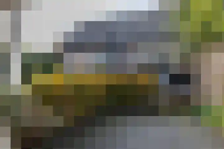 Mozartstraat 22 Oirsbeek thumbnail 38
