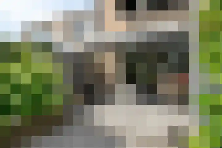 Mozartstraat 244 Barendrecht thumbnail 47
