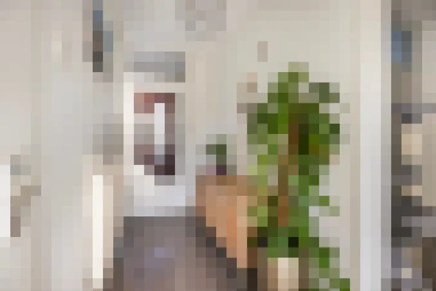 Mozartstraat 246 Almelo thumbnail 9