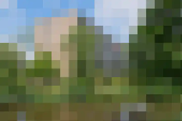 Mozartstraat 248 Almelo thumbnail 4