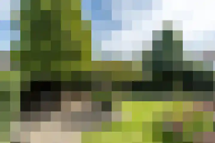 Mozartstraat 31 Brunssum thumbnail 42