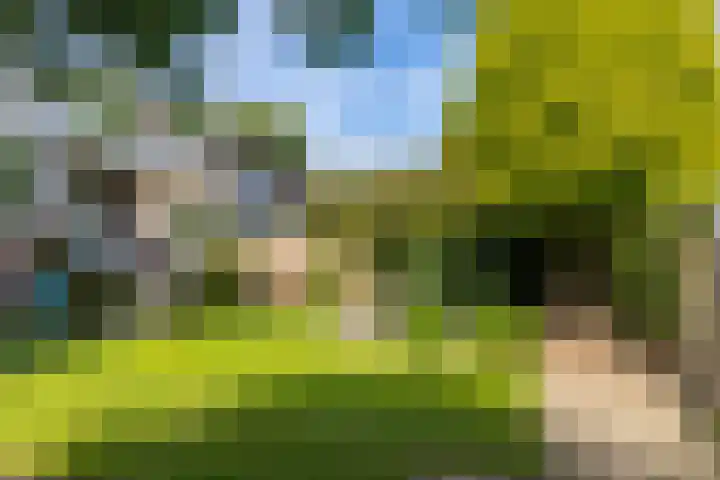 Mozartstraat 31 Brunssum thumbnail 43
