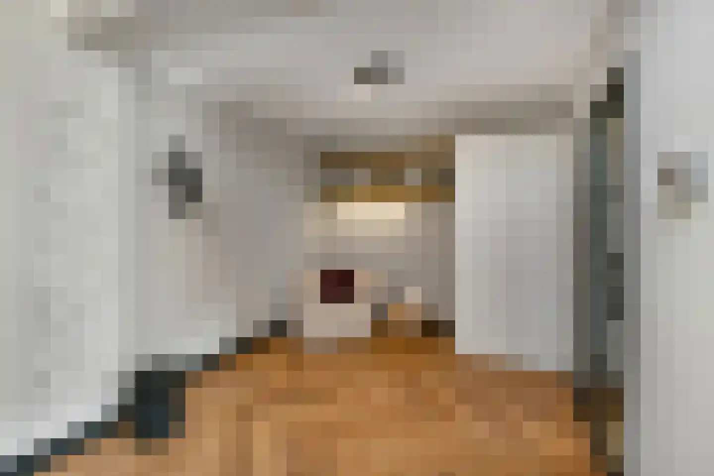 Mozartstraat 31 Elst thumbnail 16