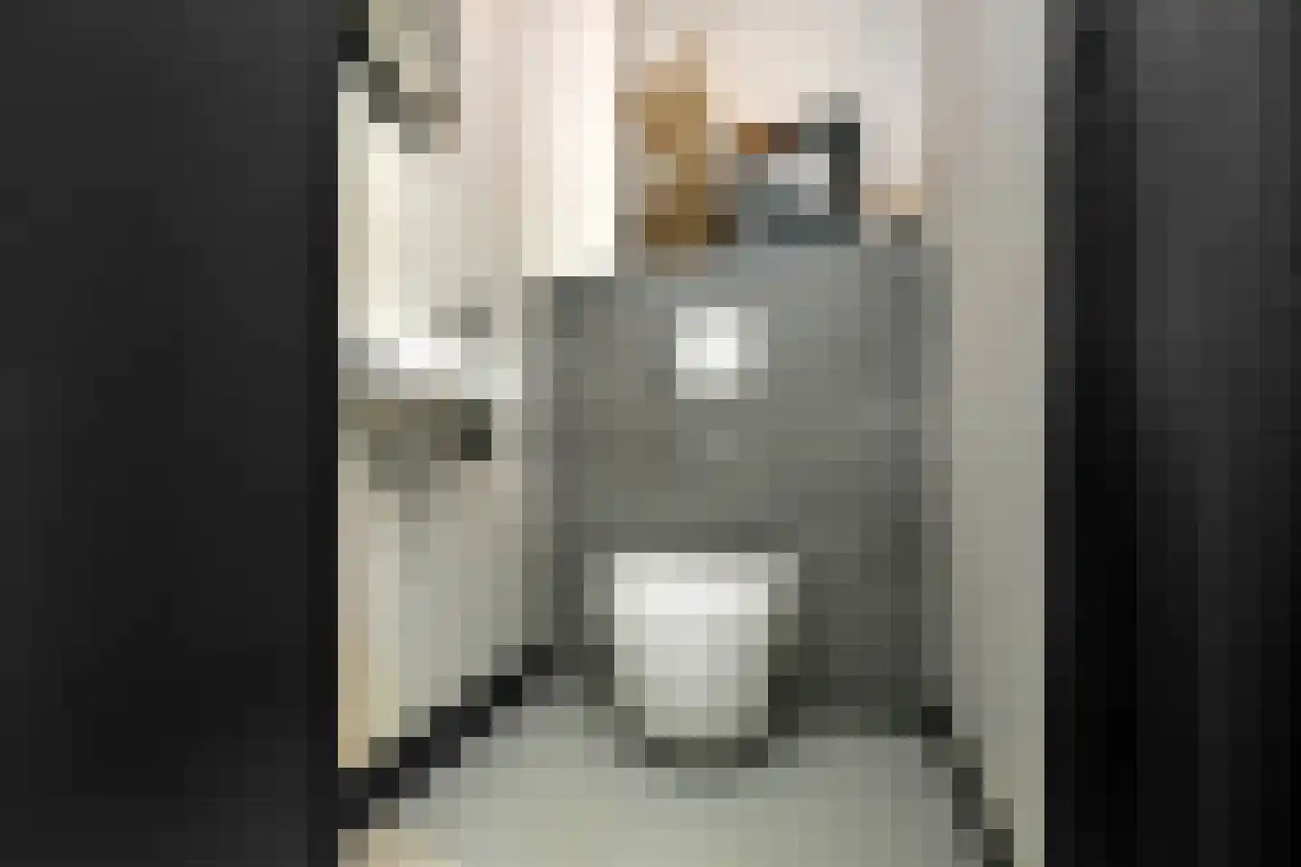 Mozartstraat 31 Elst thumbnail 18
