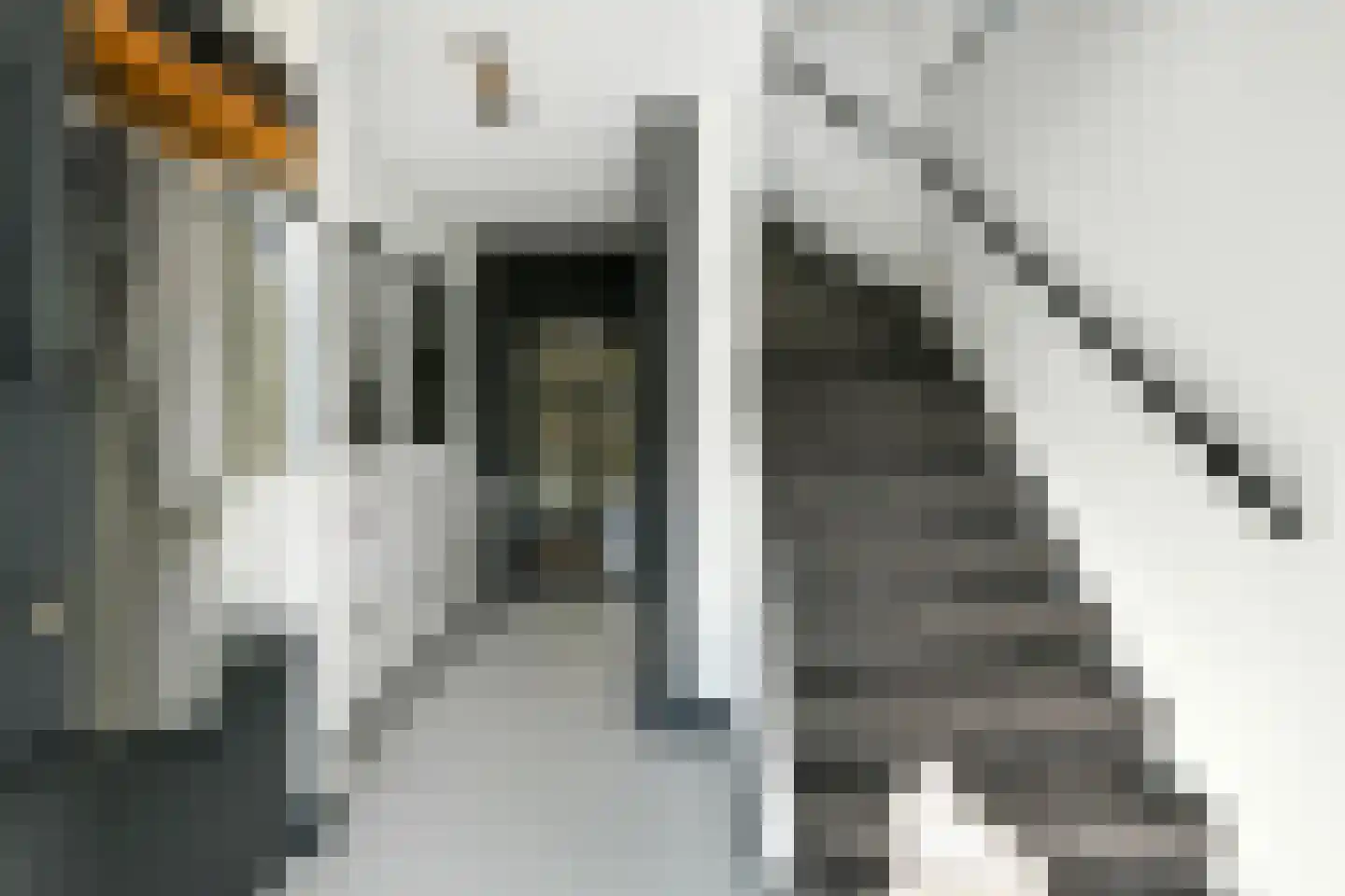 Mozartstraat 31 Elst thumbnail 19