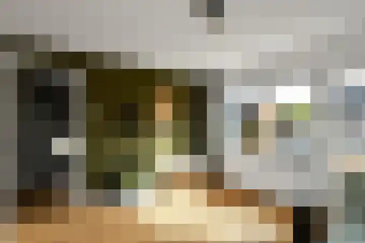 Mozartstraat 31 Elst thumbnail 21