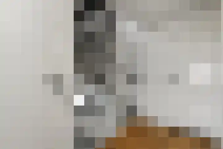 Mozartstraat 31 Elst thumbnail 29