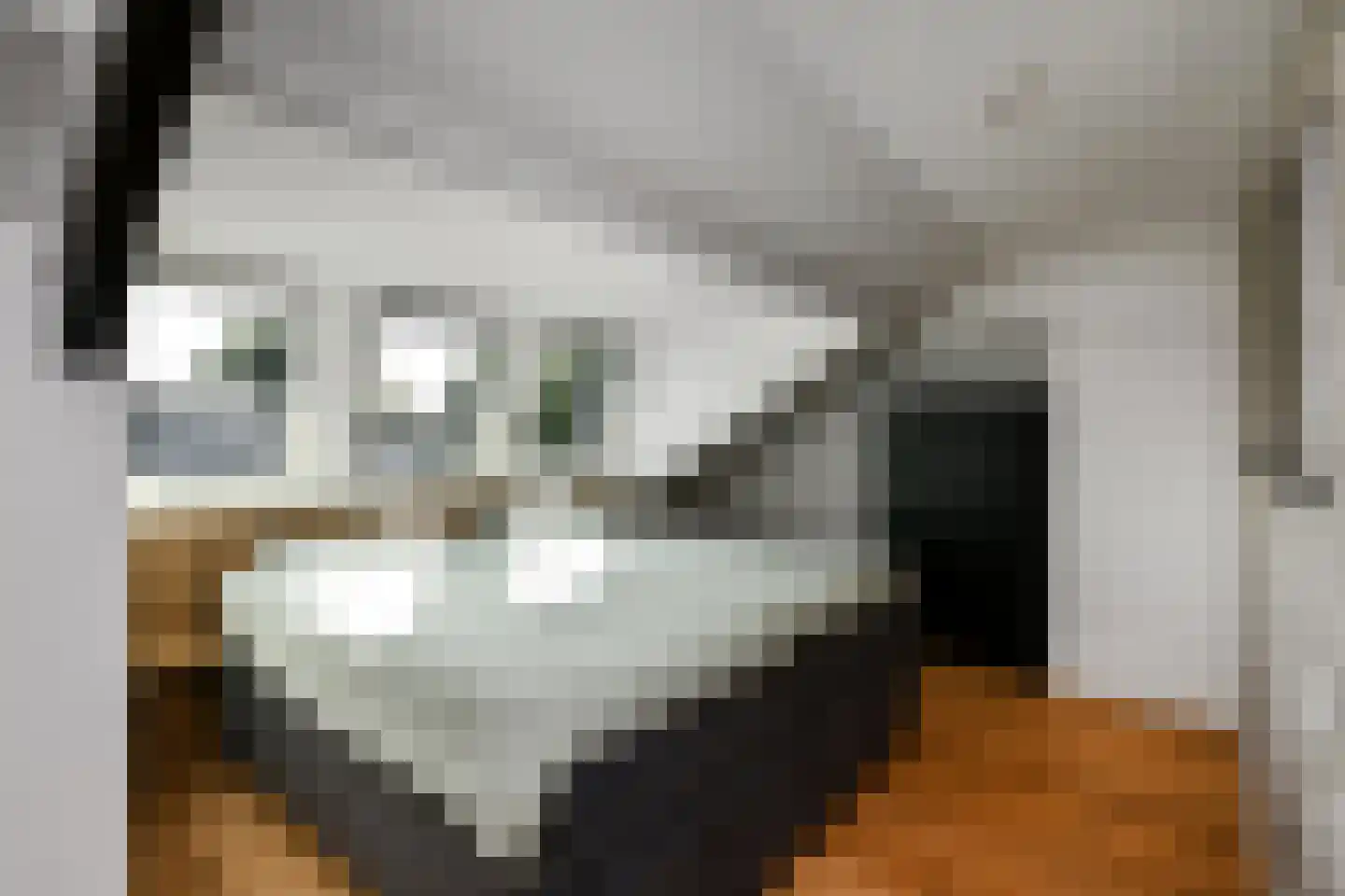 Mozartstraat 31 Elst thumbnail 30