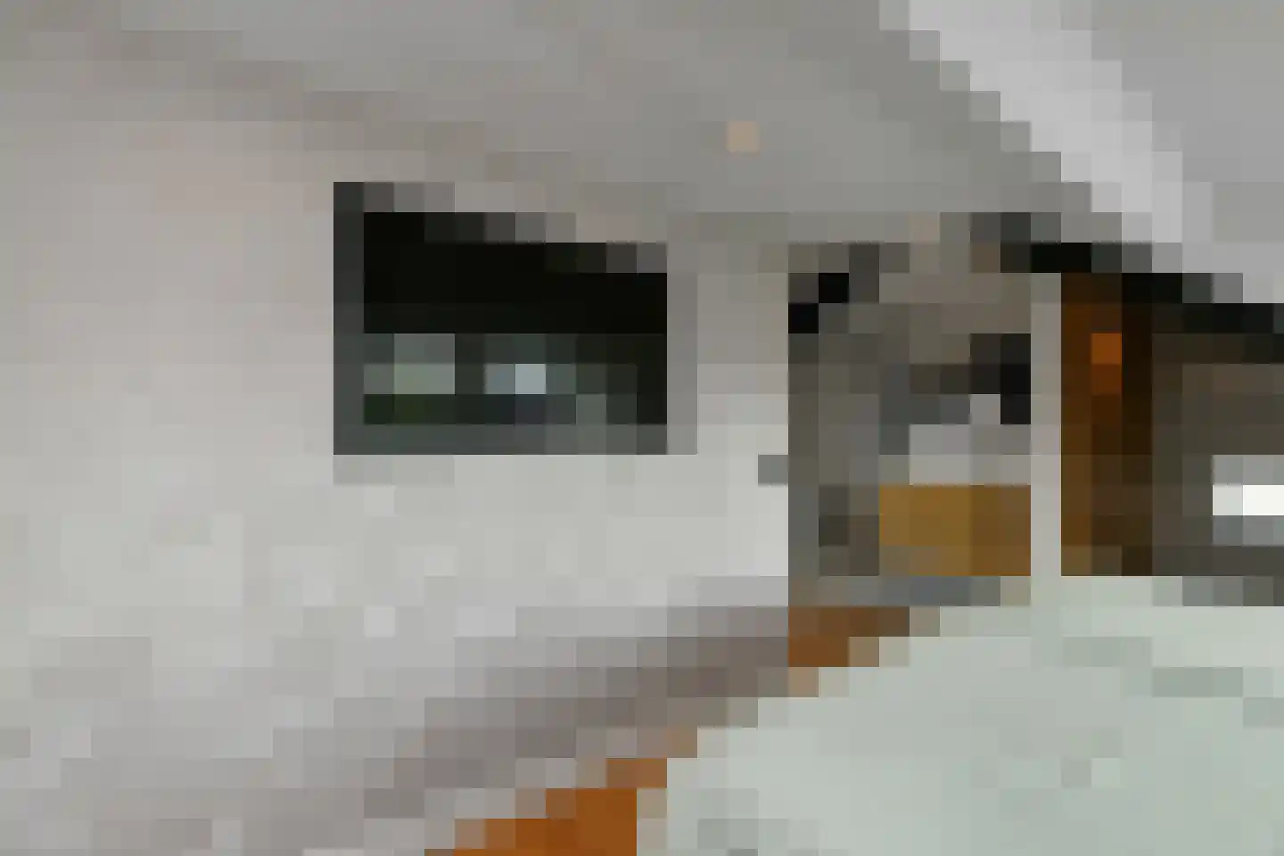 Mozartstraat 31 Elst thumbnail 32