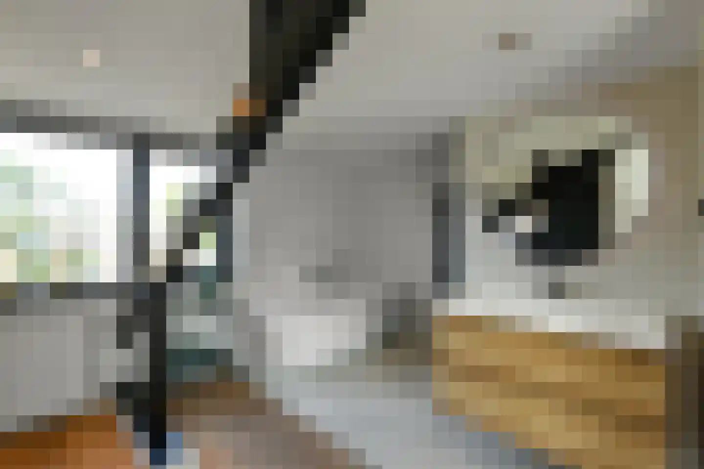 Mozartstraat 31 Elst thumbnail 33