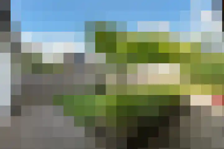 Mozartstraat 31 Elst thumbnail 44