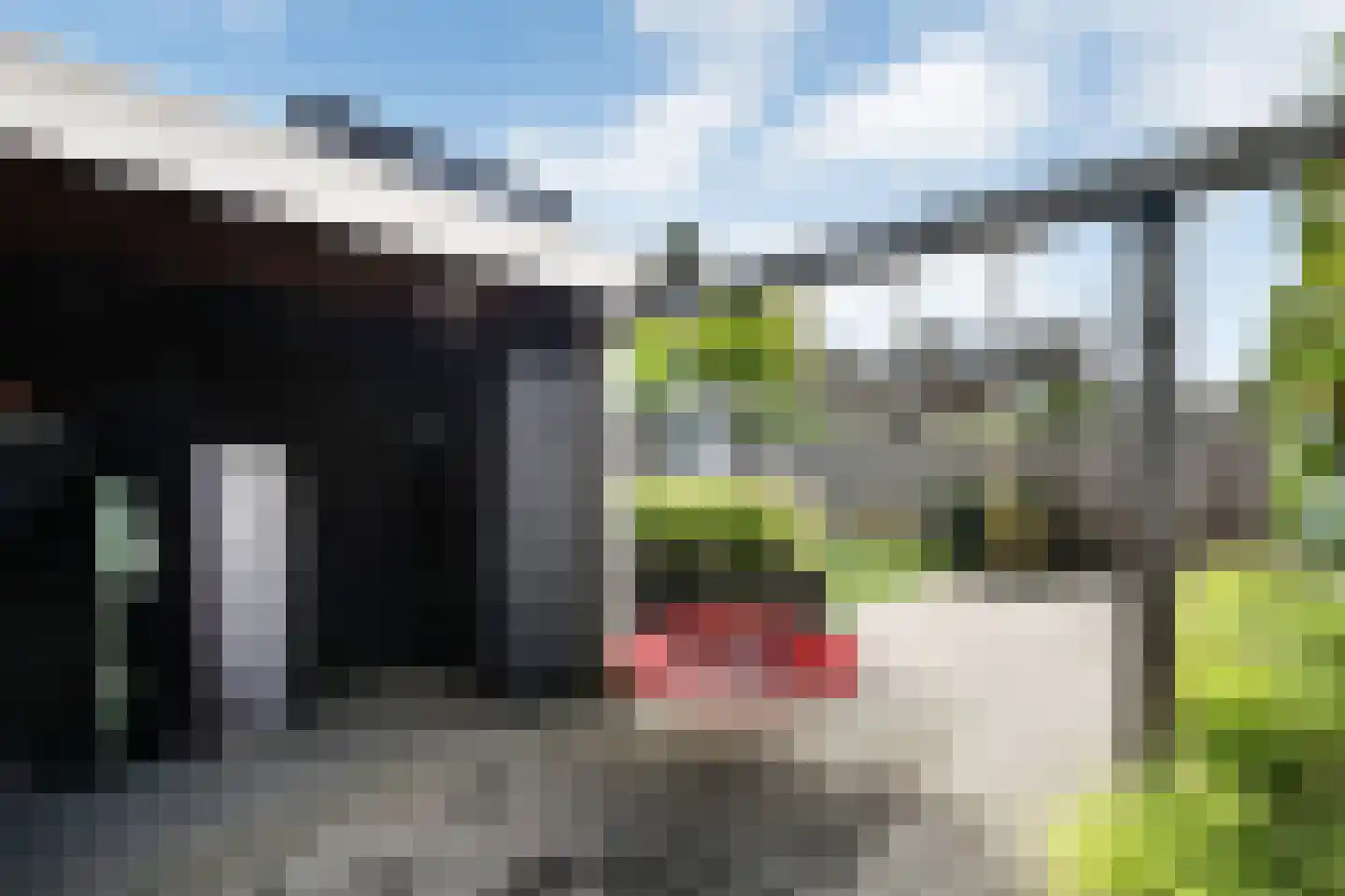 Mozartstraat 31 Elst thumbnail 46